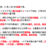 必修一知识点总结 高一上学期生物人教版必修1