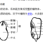 中考生物冲刺必背80个知识点