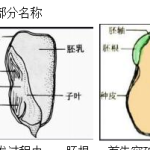 含金量超高的五十问答案