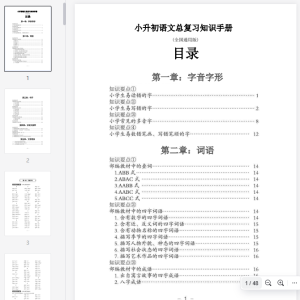 小升初语文总复习知识手册(48页)(PDF格式)插图