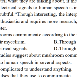 浙江省诸暨市2022-2023学年高三12月诊断性考试英语试题