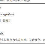 第六章 生物的命名与分类【B卷·培优卷】（原卷版）-七年级生物上册生物（苏科版2024）