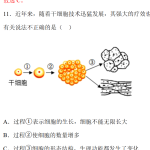 第五章 生物体有相似的结构层次【B卷·培优卷】（解析版）-七年级生物上册生物（苏科版2024）