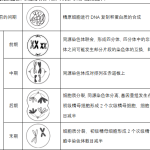 高一生物春学期知识点总结高一下学期生物人教版必修2