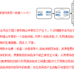期末拔高卷3-【冲刺期末】高一生物下学期期末拔高冲刺卷（2019人教版）