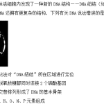 期末检测卷01（基础练）-2022-2023学年高一生物课后培优分级练（人教版2019必修2）